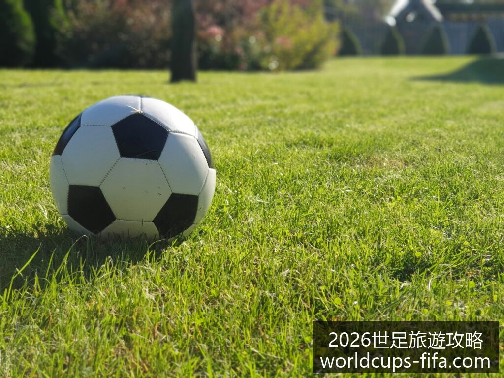 人工智能新,算法提升图,像识别精度,2026世足旅游攻略,2026世界杯行程,实测评测,景点推荐,足球赛事旅游